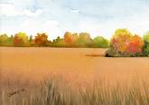 Autumn Field